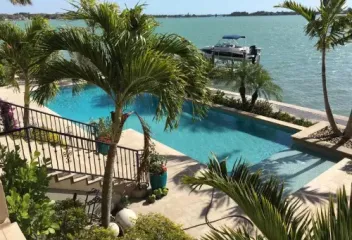 palm-tree-by-pool